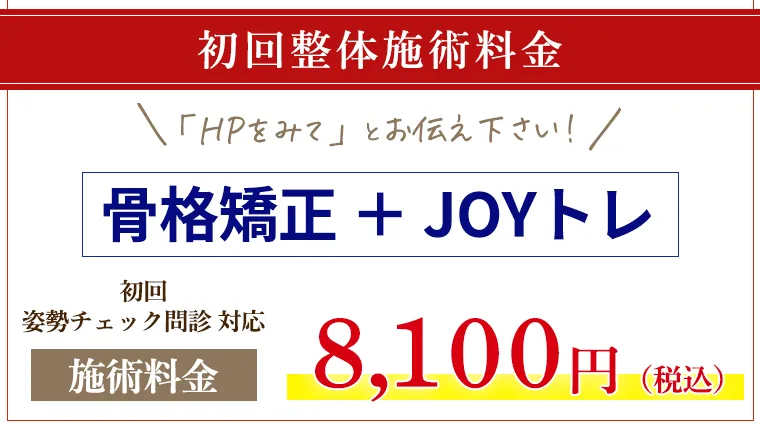 初回価格8100円